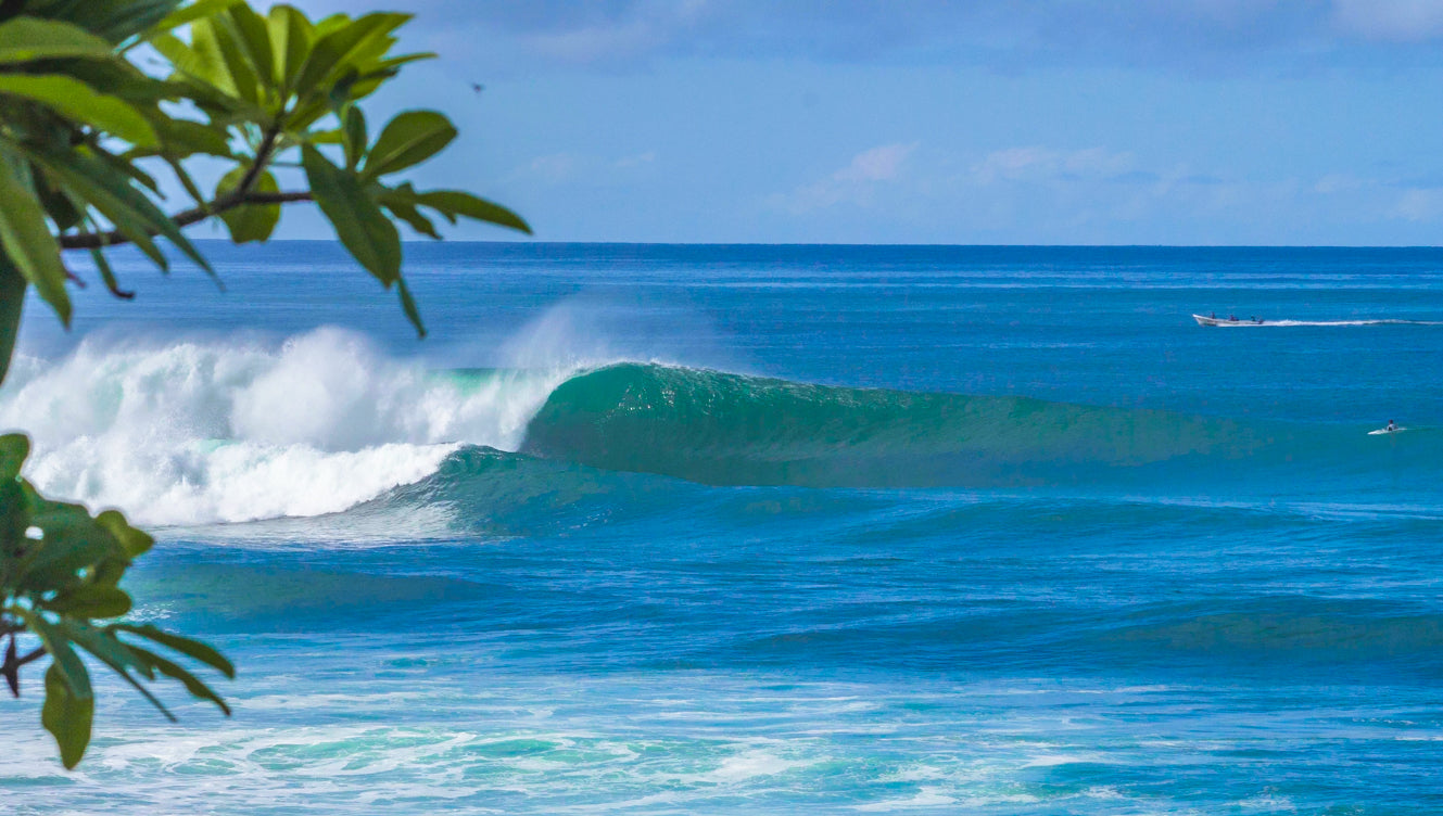 Nicaragua Surf Coaching Camp