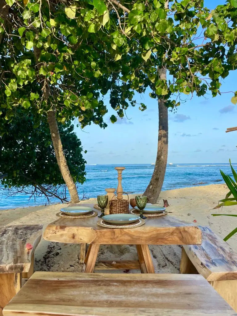 Surf Sense Maldives Coaching Trip – July 2026